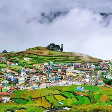 Kaunji